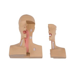 Tracheostomy management simulation manikin - 