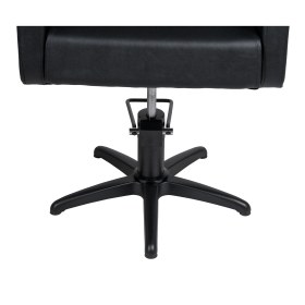 Styling chair CLASS E RZYW008.A12
