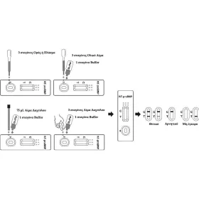 NT-proBNP Rapid Test (Cassette) 10 pieces - 