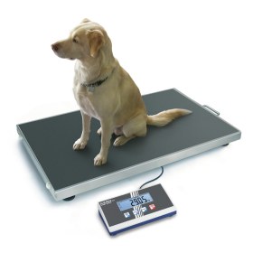 Vet platform scales 