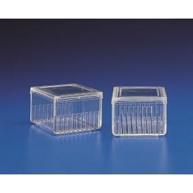 Kartell 351 flat 10-place glass paint containers