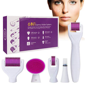 Σετ 6 σε 1 Derma Roller με βελόνες τιτανίου 