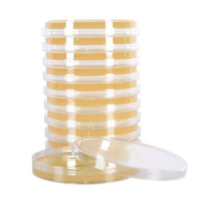 Τρυβλία Nutrient Agar 9cm 10 τεμάχια