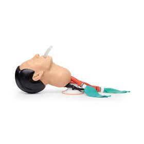 Economy Adult Airway Management Trainer P73