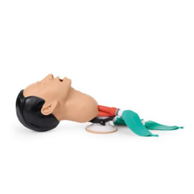 Economy Adult Airway Management Trainer P73