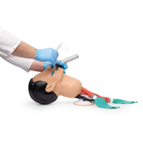 Economy Adult Airway Management Trainer P73