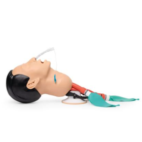Economy Adult Airway Management Trainer P73