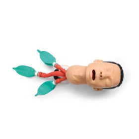 Economy Adult Airway Management Trainer P73