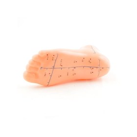 Foot Acupuncture Model - 
