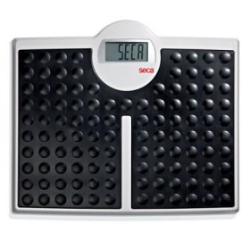 Seca 813 Robusta Digital Floor Scale