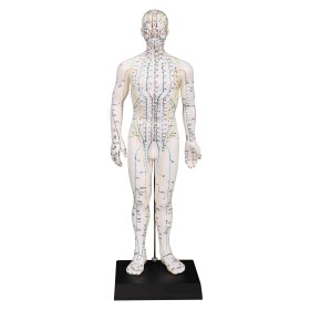 Προπλάσματα βελονισμού