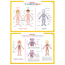 Αφίσες εκπαιδευτικές 
