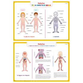 Αφίσες εκπαιδευτικές 