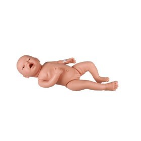 Pregnancy and Baby Care Models