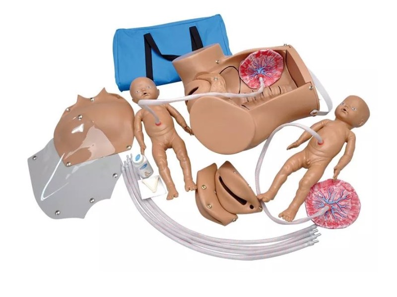 Advanced Childbirth Simulator Advanced Childbirth Simulator