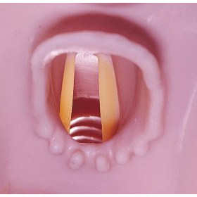 Airway trainer Airway Larry - 