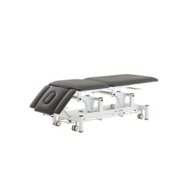 Electric Examination Table RILA | Grey - white