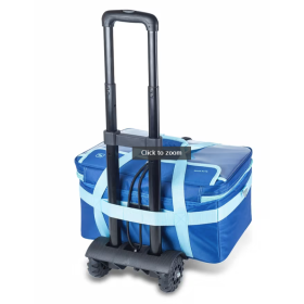 Isothermal bag for the transportation of samples Mini Cool's EB04.007