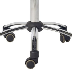 TEQLER Medical Stool with Back Support & Height Adjustment Foot Ring | White(3)