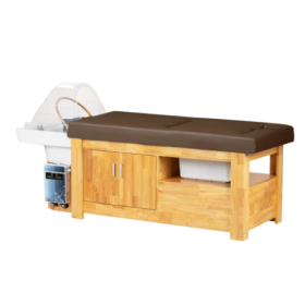 Head Spa Washing Beds