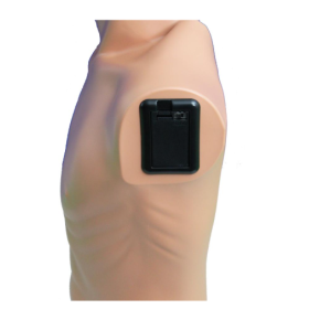 Ambu® Man Adult CPR Training Manikin - Ambu® Man Adult CPR Training Manikin(2)