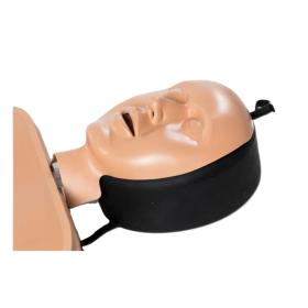 Ambu® Man School Adult CPR Training Manikin (Set of 10 pieces) - Ambu® Man School Adult CPR Training Manikin(1)
