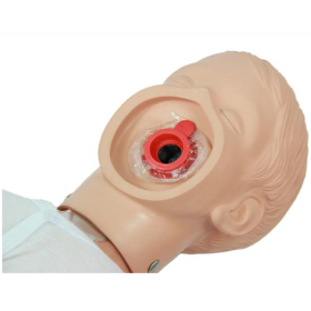 Ambu® Junior Adult CPR Training Manikin - Ambu® Junior Adult CPR Training Manikin(1)