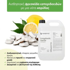 Λάδι Citrus Coconut για μασάζ 5000ml HABYS - Λάδι Citrus Coconut για μασάζ 5000ML HABYS (1)
